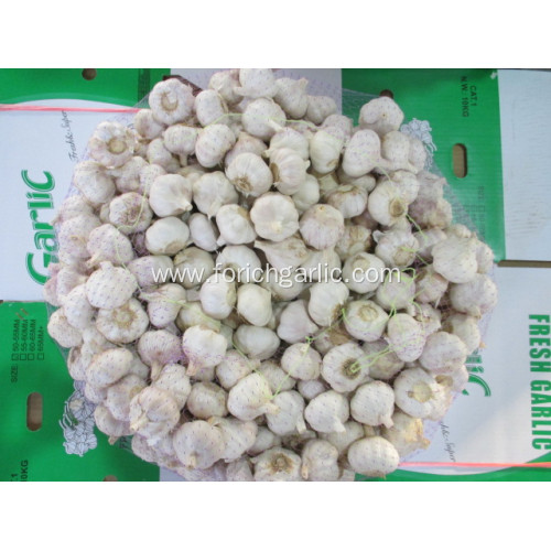 Crop 2020 Fresh Normal White Garlic